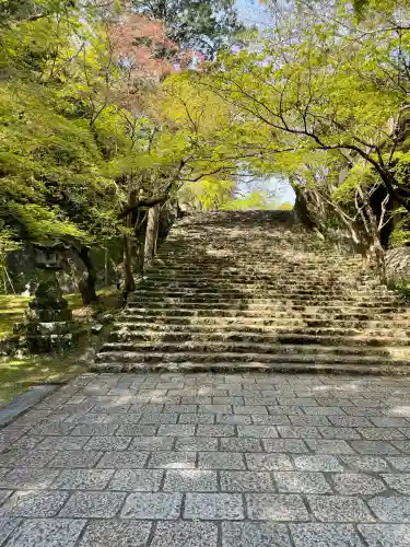 竹林寺(高知県)