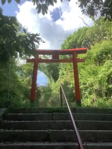 曽野稲荷神社の鳥居