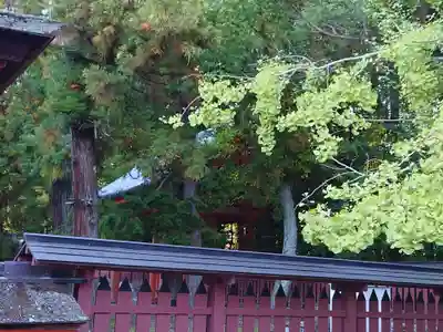 厳島神社(広島県)