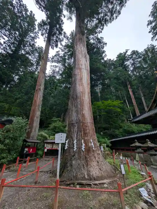 日光二荒山神社(栃木県)