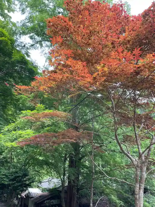 鳳来寺(愛知県)