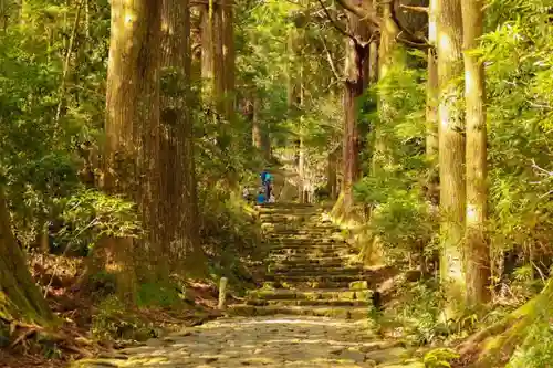熊野那智大社の自然