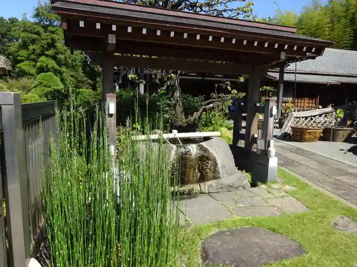 妙蓮寺の手水舎