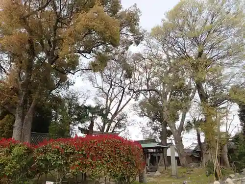 鏡作麻気神社の景色