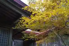 霊山神社(福島県)