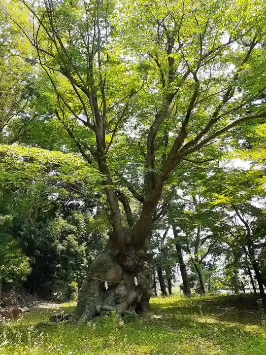 八柱神社(茨城県)