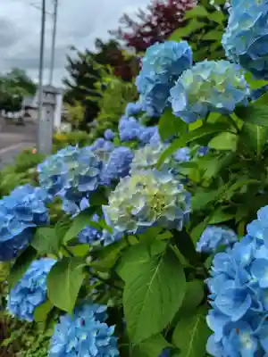 飯生神社(北海道)