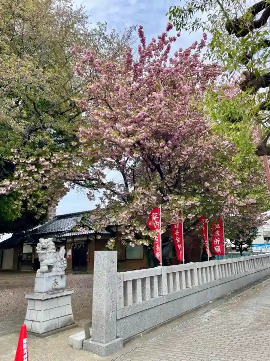 諏訪大神社 の{uncategorized: "未分類", other: "その他", undefined: "問題あり", building: "その他建物", grave: "お墓", sacred_gate: "鳥居", guardian: "狛犬", statue: "像", buddha: "仏像", history: "歴史", nature: "自然", garden: "庭園", animal: "動物", pagoda: "塔", temizu: "手水舎", mountain_gate: "山門・神門", sanctuary: "本殿・本堂", subordinate: "末社・摂社", art: "芸術", scenery: "景色", jizo: "地蔵", ema: "絵馬", goshuin: "御朱印", omikuji: "おみくじ", items: "授与品その他", amulet: "お守り", goshuincho: "御朱印帳", eats: "食事", festival: "お祭り", votive_dance: "神楽", shichigosan: "七五三参", wedding: "結婚式", experience: "体験その他", initially: "初詣", around: "周辺", anti_infection: "感染症対策"}