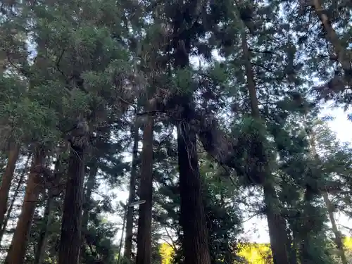 大宮温泉神社(栃木県)