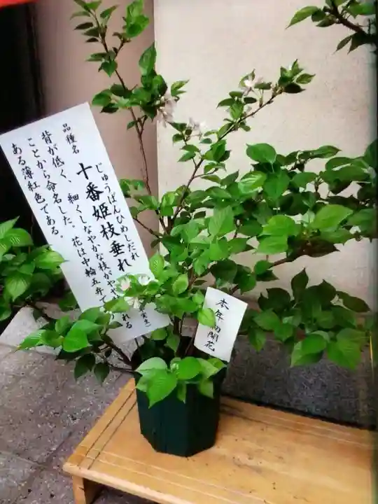 十番稲荷神社(東京都)