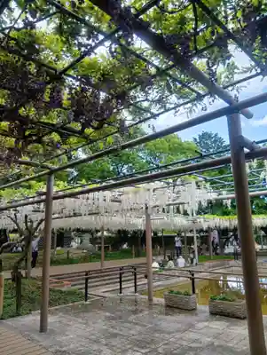 曼陀羅寺(愛知県)