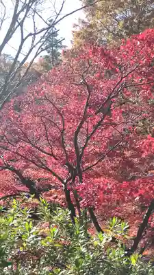 湯神社(彌彦神社末社)(新潟県)