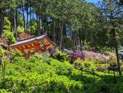 三室戸寺(京都府)