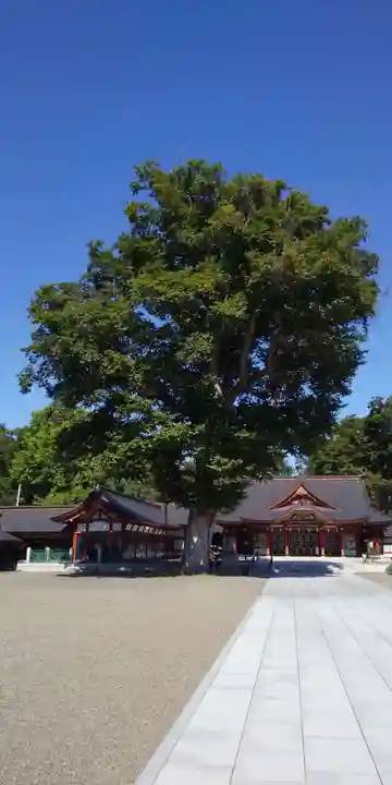北海道護國神社のその他建物