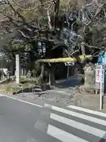 越ヶ谷久伊豆神社(埼玉県)