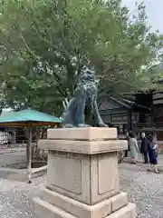 尾山神社の狛犬