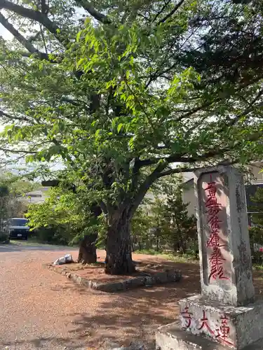 蓮大寺の建物その他