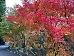 須山浅間神社(静岡県)