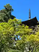 国宝 大法寺(長野県)