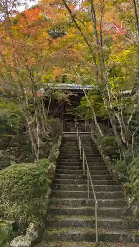 勝持寺（花の寺）(京都府)