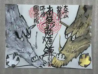 円常院(圓常院) enjoyntempleの御朱印