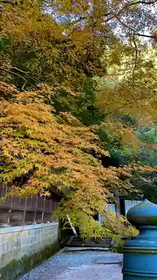 金刀比羅宮(香川県)