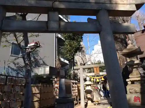 高円寺氷川神社(東京都)