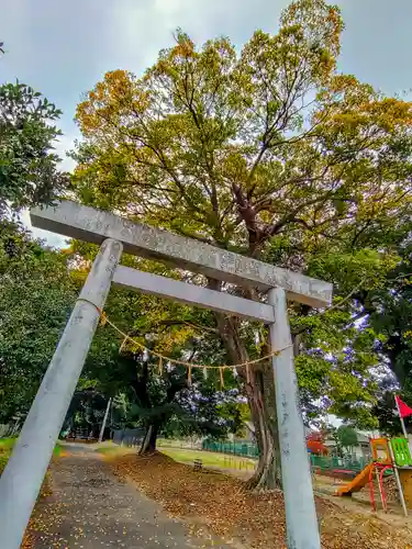 八劔社（赤池町）の鳥居