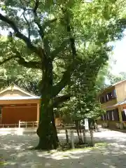 松阪神社(三重県)