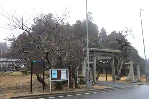 鹿島大神宮の鳥居