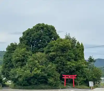 厳島神社(弁天山)(徳島県)