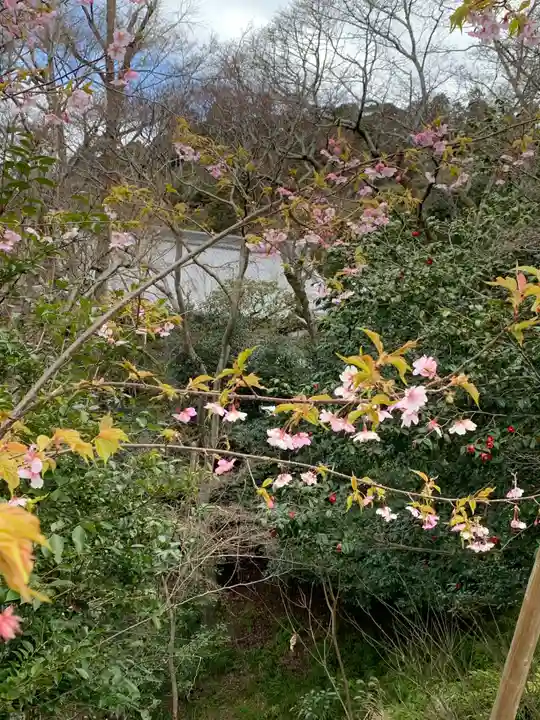 成就院(京都府)