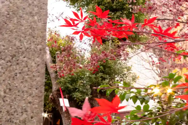 三輪神社(愛知県)