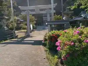 宇波西神社(福井県)(2025年05月03日(土) 02時15分24秒投稿)