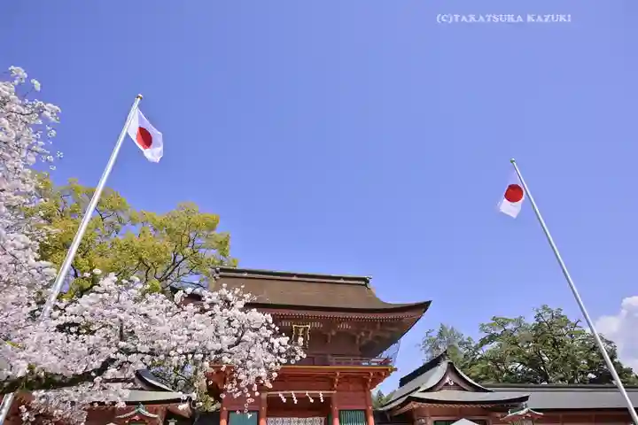 富士山本宮浅間大社(静岡県)