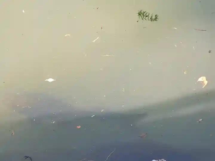 人丸神社(小中町)(栃木県)