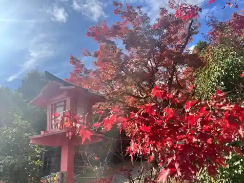 鍬山神社(京都府)