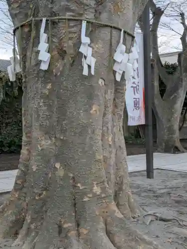 乃木神社の{uncategorized: "未分類", other: "その他", undefined: "問題あり", building: "その他建物", grave: "お墓", sacred_gate: "鳥居", guardian: "狛犬", statue: "像", buddha: "仏像", history: "歴史", nature: "自然", garden: "庭園", animal: "動物", pagoda: "塔", temizu: "手水舎", mountain_gate: "山門・神門", sanctuary: "本殿・本堂", subordinate: "末社・摂社", art: "芸術", scenery: "景色", jizo: "地蔵", ema: "絵馬", goshuin: "御朱印", omikuji: "おみくじ", items: "授与品その他", amulet: "お守り", goshuincho: "御朱印帳", eats: "食事", festival: "お祭り", votive_dance: "神楽", shichigosan: "七五三参", wedding: "結婚式", experience: "体験その他", initially: "初詣", around: "周辺", anti_infection: "感染症対策"}