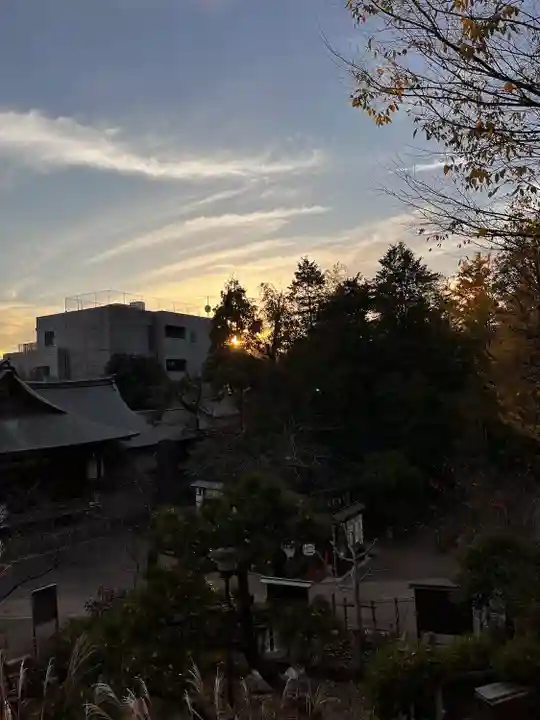 鳩森八幡神社の景色