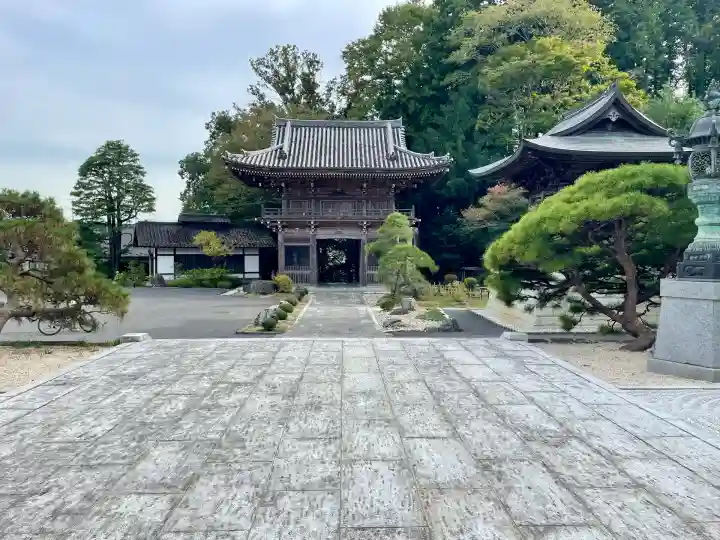 寳光寺 鹿野大佛(東京都)