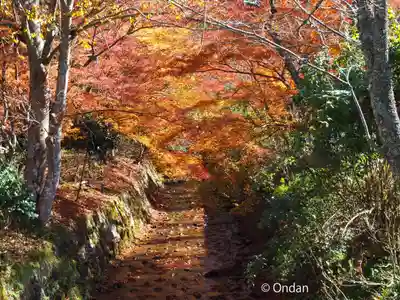 金剛院(京都府)