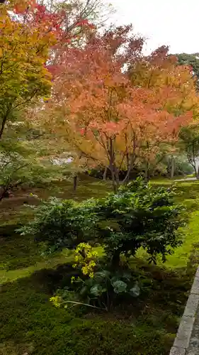 興聖寺(京都府)