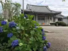 善福寺の自然