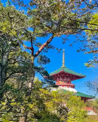 成田山新勝寺(千葉県)