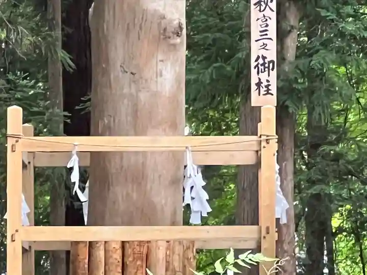 諏訪大社下社秋宮(長野県)