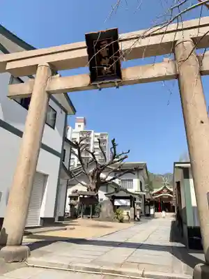 二宮神社の鳥居