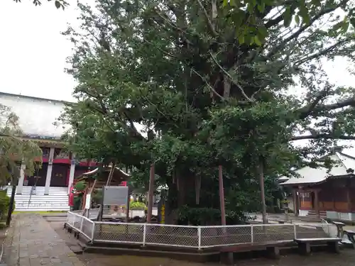 千葉寺のその他建物