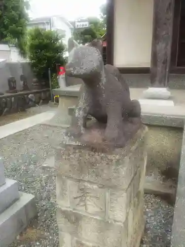 善行神社の狛犬