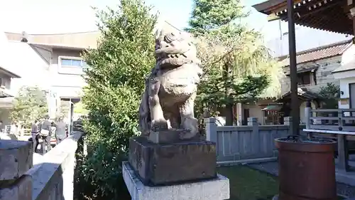 今泉八坂神社の狛犬