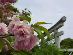 八雲神社(緑町)(栃木県)